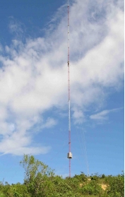 �y�L(f��ng)��