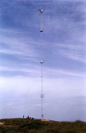 �y(c��)�L(f��ng)��