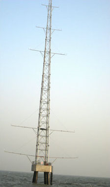 ������(�y�L��)